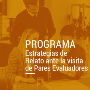 detalle_programa_evaluadores