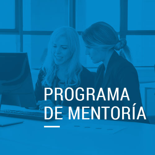 detalle_programa_mentoria_mujeres_metahumano