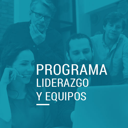 detalle_programas-liderazo-y-equipos-metahumano-consultoria